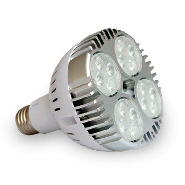 Lámpara LED PAR30 E27